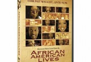 African American Lives