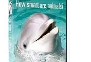How Smart are Animals? NOVA scienceNOW