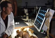 Secrets of the Dead: Caveman Cold Case