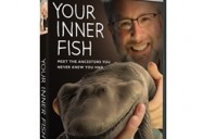 Your Inner Fish