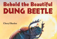 Behold the Beautiful Dung Beetle