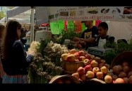 Combating Climate Change and Improving Air Quality