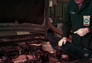 Auto Shop Safety