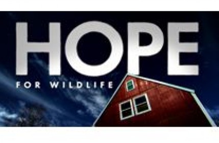 wildlife hope episodes season access request preview producer inc