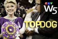 Top Dog: W5