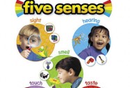 The Five Senses Series