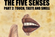 The Five Senses: Taste, Touch and Smell