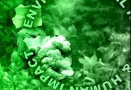 Environmental Issues & Human Impact