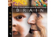Secret Life of the Brain 3PK DVD