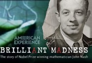 American Experience: A Brilliant Madness