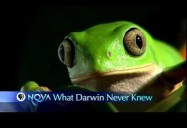 NOVA: What Darwin Never Knew