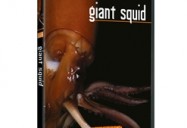 Inside Nature's Giants: Giant Squid