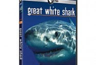 Inside Nature's Giants: Great White Sharks