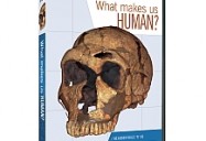 NOVA scienceNOW: What Makes Us Human?