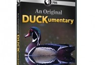 NATURE: An Original DUCKumentary