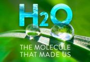 H2O: The Molecule That Made Us