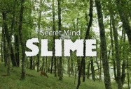 NOVA: Secret Mind of Slime
