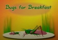 Bugs for Breakfast: Food and Culture
