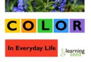 COLOR IN EVERYDAY LIFE