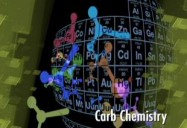 Carbs: Elements of Human Nutrition Series