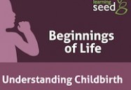 Understanding Childbirth: Beginnings of Life Series