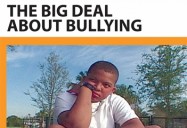 BIG DEAL ABOUT BULLYING, THE