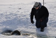Newfoundland Moose: Jeremy Charles: Untamed Gourmet Series (Season 1)