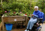 Therapeutic Gardens: Ageless Gardens Series, Season 1