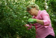 Gardens Grow Community: Ageless Gardens Series, Season 1
