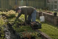 Active in the Garden (Episode Four): Ageless Gardens Series - Season 2