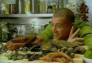 Ever Wondered About Seafood?