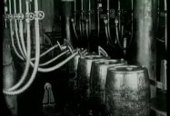 Leaded Gasoline: Trading IQ for Octane
