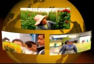 Colombia: Flowers for the Gringo