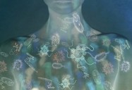 The Edge of Wonder: The Human Microbiome