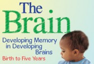 The Brain: Developing Memory in Developing Brains (Birth to Five Years)
