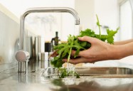 Food Safety: It's in Your Hands