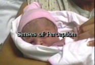 INFANCY: BEGINNINGS OF COGNITION AND LANGUAGE