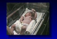 The Newborn - Development & Discovery: The Developing Child Series