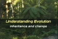 UNDERSTANDING EVOLUTION