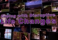 Coping with Disruptive Life Changes