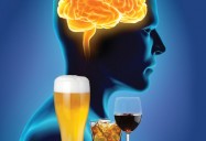 Alcohol and the Developing Brain