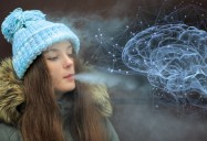 Nicotine, Vaping and the Developing Brain