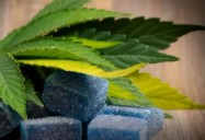 Marijuana: New Laws, New Problems for Teens