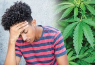 High Potency Marijuana: What Every Teen Needs to Know