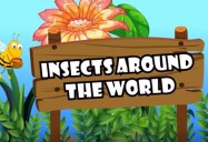 Insects Around the World: All About Insects Series