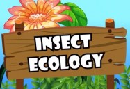 Insect Ecology: All About Insects Series
