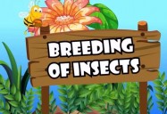 Breeding of Insects: All About Insects Series