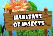 Habitats of Insects: All About Insects Series