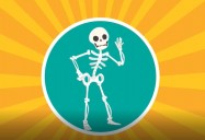 Skeleton Facts for Kids: The Magical Human Body Series