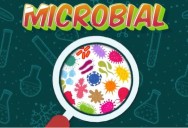 Microbial: Kitchen Science Series